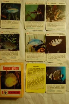 Kwartet Aquarium - 1