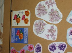 3D plaatjes --- BLOEMEN --- 10 VERSCHILLENDE PLAATJES ---> SET 6