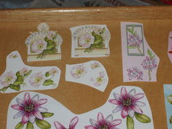 3D plaatjes --- BLOEMEN --- 10 VERSCHILLENDE PLAATJES ---> SET 3
