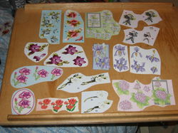 3D plaatjes --- BLOEMEN --- 10 VERSCHILLENDE PLAATJES ---> SET 2