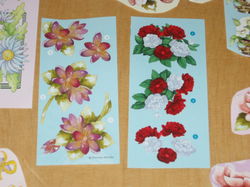 3D plaatjes --- BLOEMEN --- 10 VERSCHILLENDE PLAATJES ---> SET 1