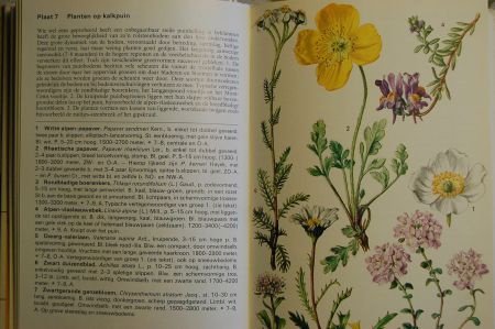 Elseviers Alpengids - Afbeelding 2