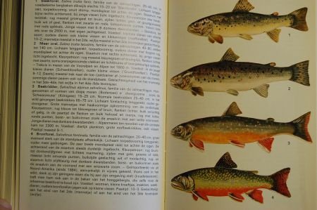 Elseviers Alpengids - Afbeelding 6