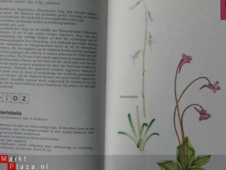 Zakflora Sloot, Plas en Moeras - Afbeelding 2