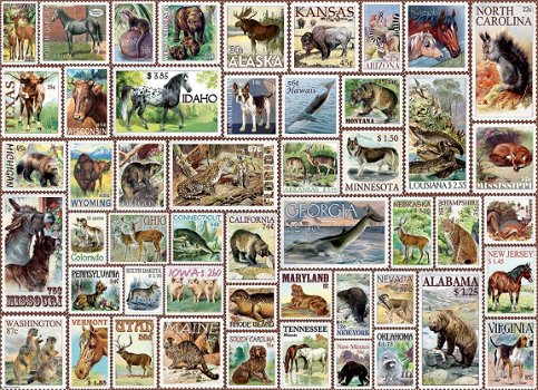 Eurographics - Animals of North America - 500 XL Stukjes - 1
