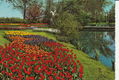 Holland bloemenland 4 - 1 - Thumbnail