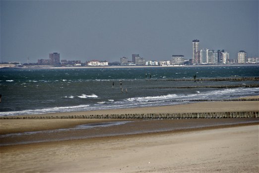 Appartement De Graanzolder op melkveebedrijf te huur bij het strand - 5