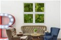 Mosschilderij - Groene Wand - 2 - Thumbnail