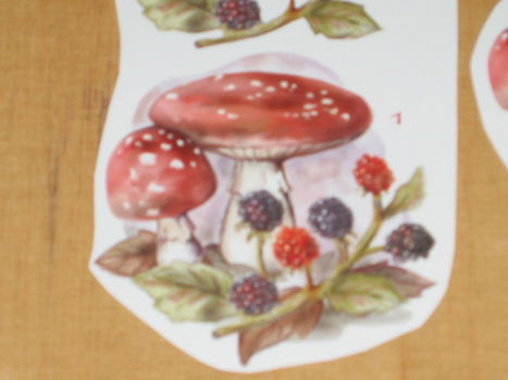 3D plaatjes --- PADDENSTOELEN en BRAMEN - 2