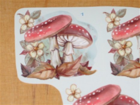 3D plaatjes --- PADDENSTOELEN en BLOEMEN - 2