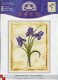 AANBIEDING DMC BORDUURPAKKET MOROCCAN IRIS - 1 - Thumbnail