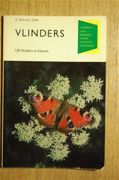 Vlinders - 1