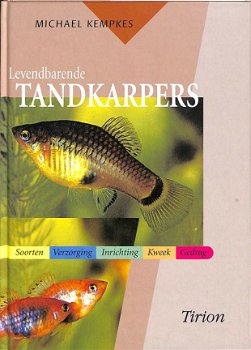Tandkarpers - 0