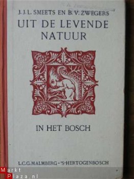 Uit de Levende Natuur; In het Bosch - 1