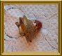 Mooie oude kleine broche met rode steen // vintage little brooch with red stone - 3 - Thumbnail
