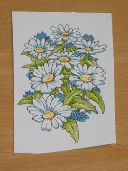 3D plaatjes --- BLOEMEN --- BOEKET MARGRIETEN - 2