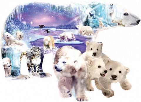 SunsOut - Polar Bear World - 1000 Stukjes - 1