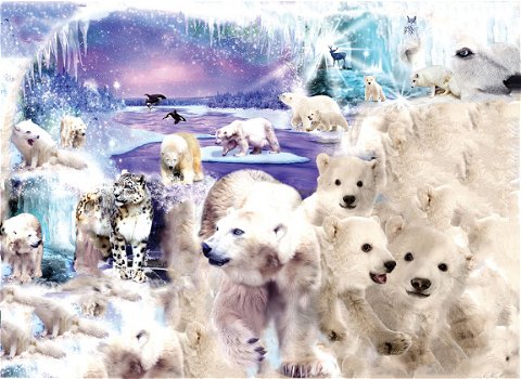 SunsOut - Polar Bear World - 1000 Stukjes - 2
