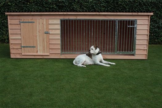 Exclusieve Douglas hondenkennel met nachthok blank - 4