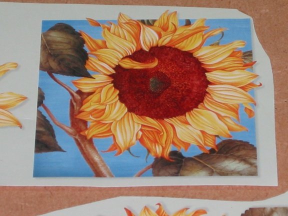 Kaart nr. 11 --- 3D SET voor WENSKAART --- ZONNEBLOEM in een VIERKANT KADER - Afbeelding 3