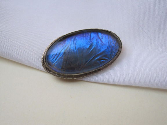 Broche zilverkleurig met blauwe butterfly wings Alfano Brasil 3.3x1.8 cm - nr. 1