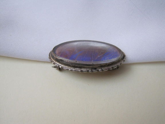 Broche zilverkleurig met blauwe butterfly wings Alfano Brasil 3.3x1.8 cm - Afbeelding 5