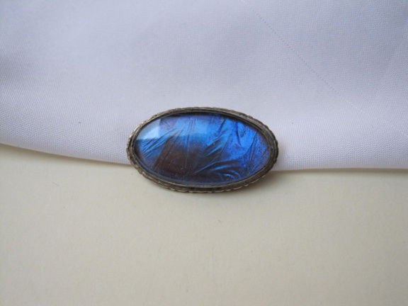 Broche zilverkleurig met blauwe butterfly wings Alfano Brasil 3.3x1.8 cm - Afbeelding 6