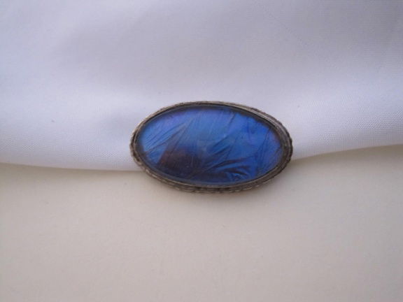Broche zilverkleurig met blauwe butterfly wings Alfano Brasil 3.3x1.8 cm - Afbeelding 7