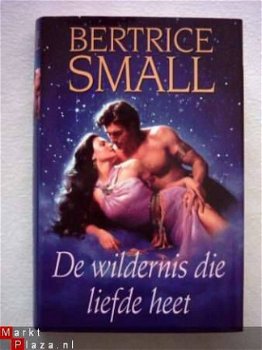 Bertrice Small De wildernis die liefde heet - 1