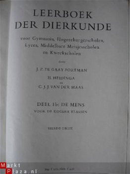 Oud studieboek. Dierkunde- De mens - 1