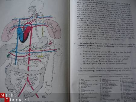 Oud studieboek. Dierkunde- De mens - 1