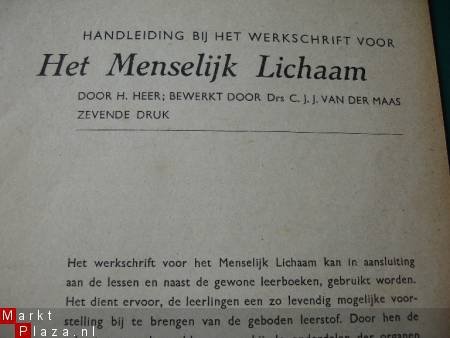 Werkschrift van het menselijk lichaam. - 1