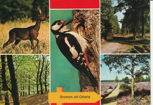 Groeten uit Otterlo - 1