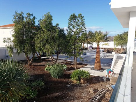 MODERN VILLA WITH POOL - BUZANADA - TENERIFE - 3