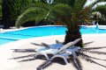 zon,zee,strand, Toscane Chalet aan zee camping paradiso Italie - 2 - Thumbnail