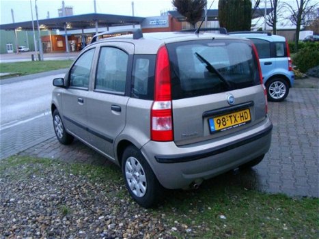 Fiat Panda - 1.2 Edizione Cool - 1