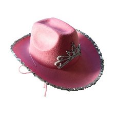 Cowboyhoed Prinses roze bij Stichting Superwens!