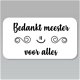 Zwart witte stickers bedankt bestelling vlinder 60x30mm (10 stuks) - 3 - Thumbnail