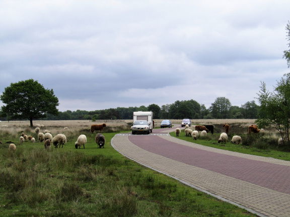 Stacaravan huren op camping Padjelanta Vledder Drenthe. - Afbeelding 8