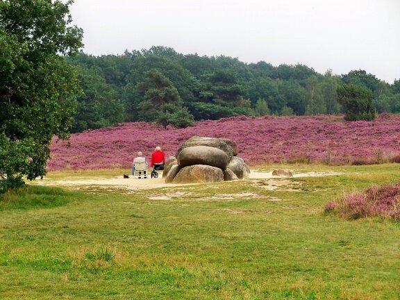 Vakantie in Vledder, fietsen, wandelen, rust en natuur. - Afbeelding 7
