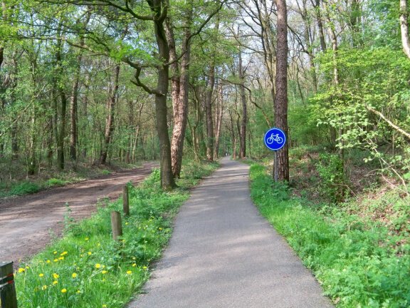Fietsvakantie in het Drents Friese Wold. - Afbeelding 2