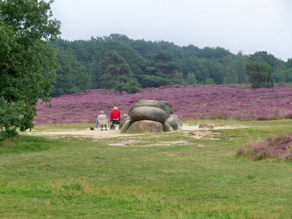 Fietsvakantie in het Drents Friese Wold. - Afbeelding 3