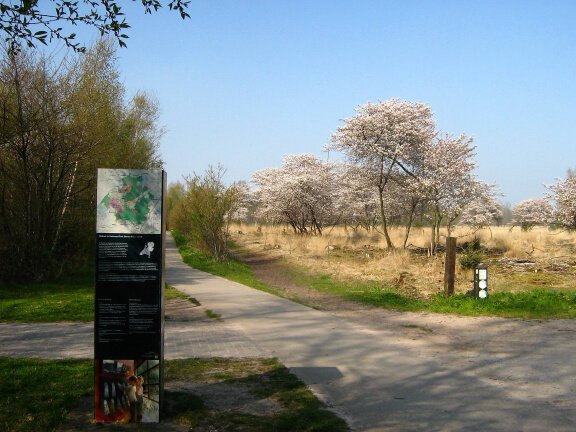 Fietsvakantie in het Drents Friese Wold. - Afbeelding 5