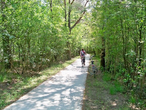 Fietsvakantie in het Drents Friese Wold. - Afbeelding 6