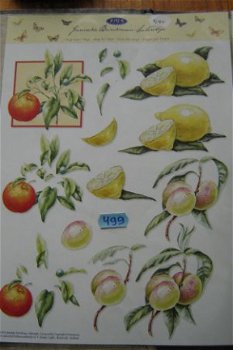 Knipvel nr.499 FRUIT - 1