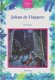 Johan de Dappere - Rien Broere - 1 - Thumbnail