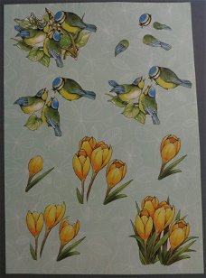 3D Knipvel (A4) --- VOGEL-VOGELS --- Nr. 02 --- VOGELS en TULPEN