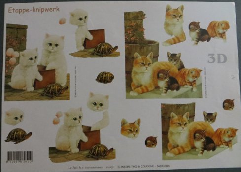 3D knipvel (A4) --- POES-POEZEN --- Le Suh 416925 --- KITTENS en een POES met KITTENS - 1