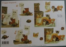 3D knipvel (A4) --- POES-POEZEN --- Le Suh 416925 --- KITTENS en een POES met KITTENS