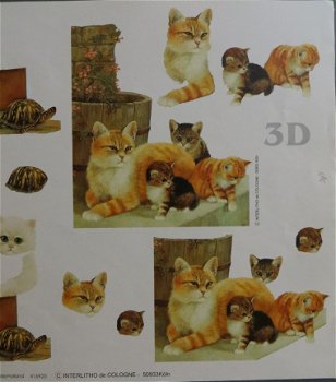 3D knipvel (A4) --- POES-POEZEN --- Le Suh 416925 --- KITTENS en een POES met KITTENS - 3